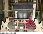 87873cf5.jpg