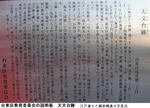 91154a35.jpg