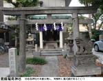 8ba8d37a.jpg