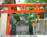 7815f972.jpg
