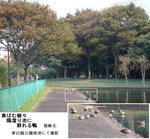 9fb0ac79.jpg