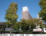 0b07557e.jpg