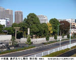 5baf3f09.jpg