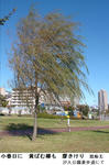 be227353.jpg