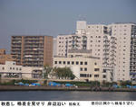 016995f4.jpg
