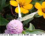 04cb360f.jpg