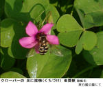 c7f20447.jpg