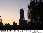 aa4c83c5.jpg