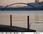 81c86405.jpg