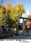f613776f.jpg