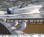 d1b223f3.jpg