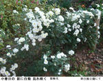 f5dca407.jpg
