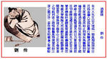1d175b86.JPG