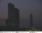 2bca59b8.jpg