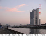 17d3603c.jpg