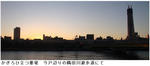 635637f9.jpg