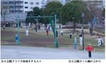 ca5a2218.jpg