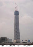 b861783d.jpg