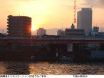 754e0d40.jpg