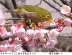 ee643091.JPG