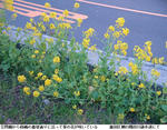 f9142120.jpg