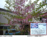 ac98f61f.jpg
