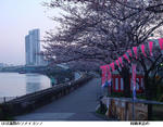 f084c9f7.jpg