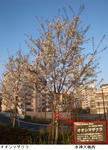 83e3f68d.jpg