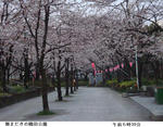 1647f709.jpg