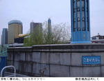 f0c357a2.jpg