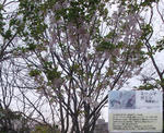 b5dc9884.jpg