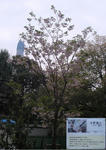 990446d5.jpg