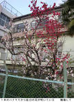 a53d50a7.jpg