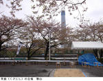 363381e1.jpg