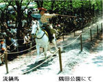 0ce08777.JPG