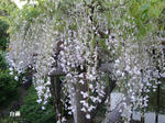 5606d985.jpg