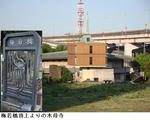 27546e59.jpg