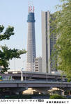 97388ceb.jpg