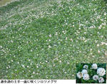 36b049b5.jpg