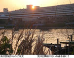 a2652411.jpg