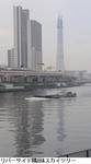 c630a7c0.jpg