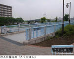 5529703e.jpg