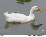 ad7a28d7.jpg