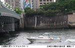 a7160859.jpg