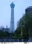 48d72a08.jpg