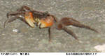 41ddb607.jpg