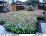 f89ba6f5.jpg