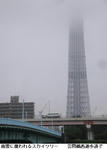 a42454fd.jpg
