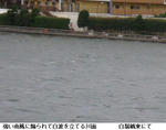 e5414344.jpg