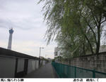 ac0903ec.jpg